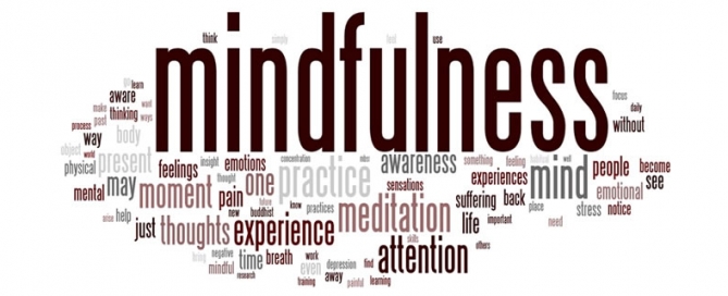 Mindfulness Meditation and Wellness Retreat PA Days
