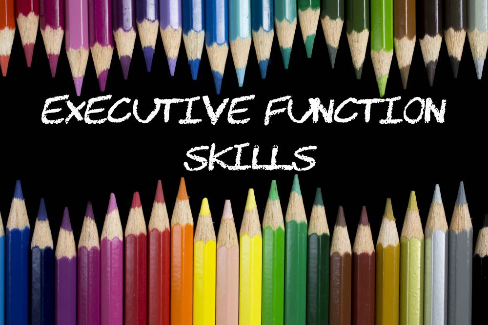 Executive function coaching